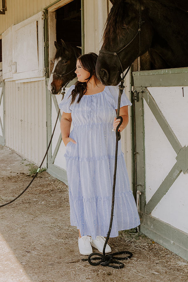 Countryside Meadows Stripe Midi Dress Curves 1XL / Blue Countryside Meadows Stripe Midi Dress Curves 1XL / Blue
