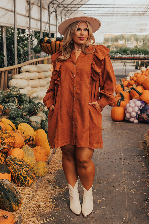 Boston Chill Corduroy Dress in Rust Curves Boston Chill Corduroy Dress in Rust Curves