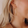 Friendly Ties Hoop Earrings In Iced Latte Image - 1