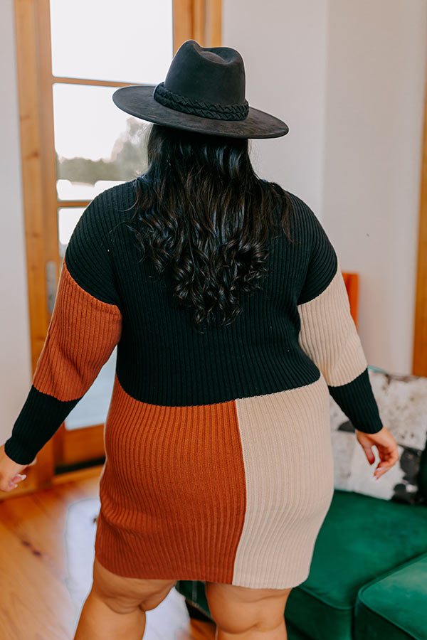 Cozier Than Most Colorblock Sweater Dress Curves