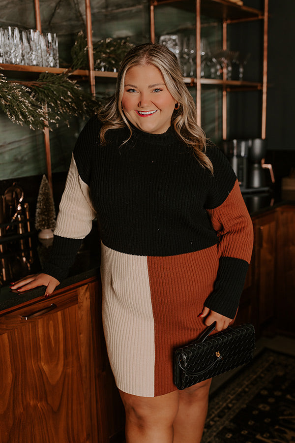 Cozier Than Most Colorblock Sweater Dress Curves