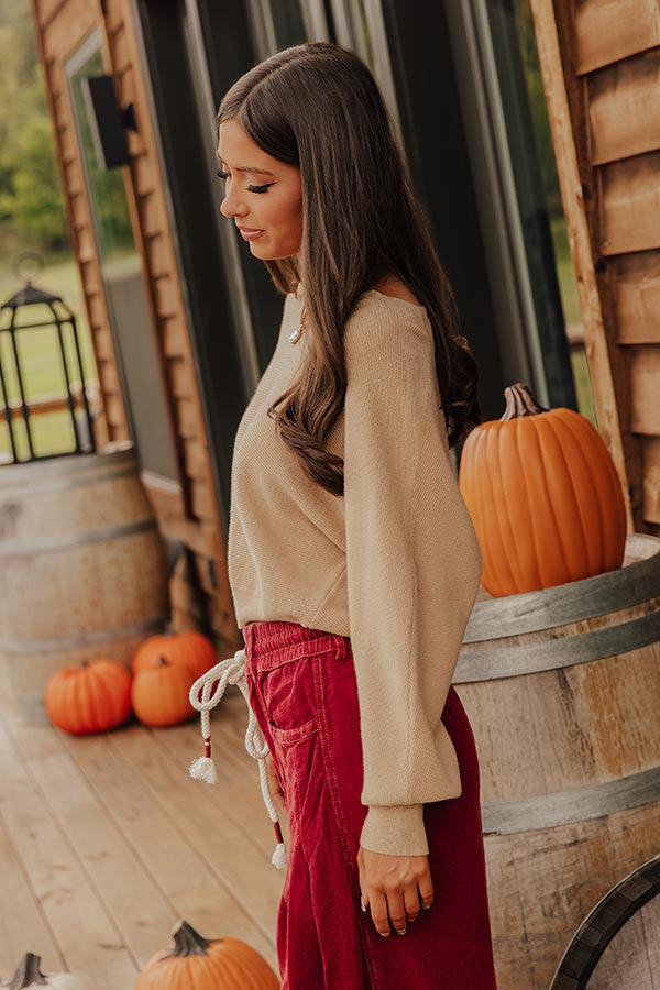Cosmos and City Lights Sweater Top in Iced Latte Image - 2