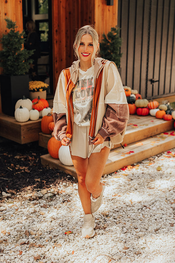 Fall Hike Color Block Sweater in Brown