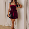 Let's Have A Toast Velvet Mini Dress in Wine Image - 1