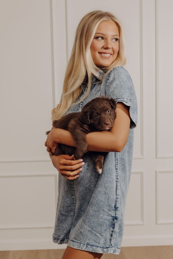 Park Days Ahead Chambray Romper in Light Wash