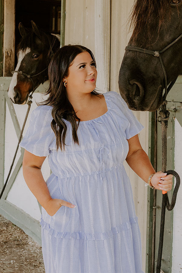 Countryside Meadows Stripe Midi Dress Curves 1XL / Blue Countryside Meadows Stripe Midi Dress Curves 1XL / Blue