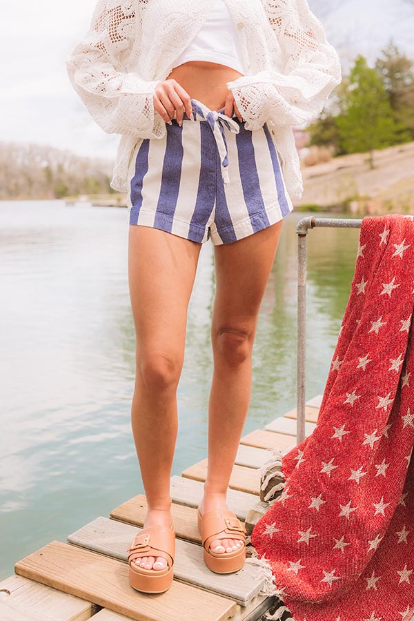 The Parker Midrise Stripe Shorts in Navy Image 2