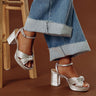 The Leilani Metallic Platform Heel in Silver Image - 1