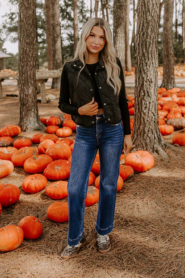 Morning Dew Quilted Vest in Black Image 2