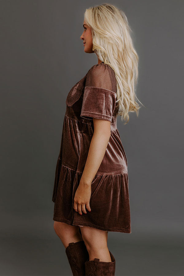 Velvet Essence Lace Detail Dress Small (2/4) / Chocolate Brown Velvet Essence Lace Detail Dress Small (2/4) / Chocolate Brown