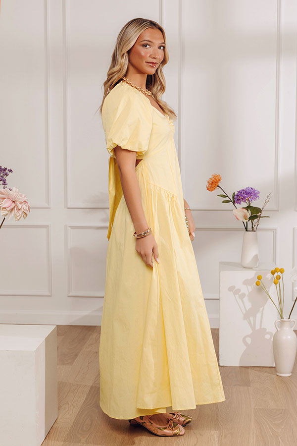 Darling Touch Poplin Maxi Dress Image - 2