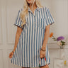 Yacht Club Chic Stripe Mini Dress in Navy Image - 1