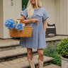 Nantucket Muse Stripe Mini Dress Image - 1