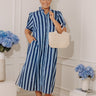 Harbor Line Button Down Midi Dress Curves Image - 1