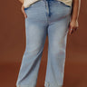 The Evelyn High Waist Tummy Control Straight Leg Jean Curves Image - 1