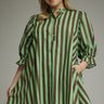Simply Meant Stripe Mini Dress Curves Image - 1