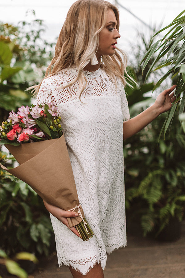 My Cup Of Tea Lace Shift Dress In White