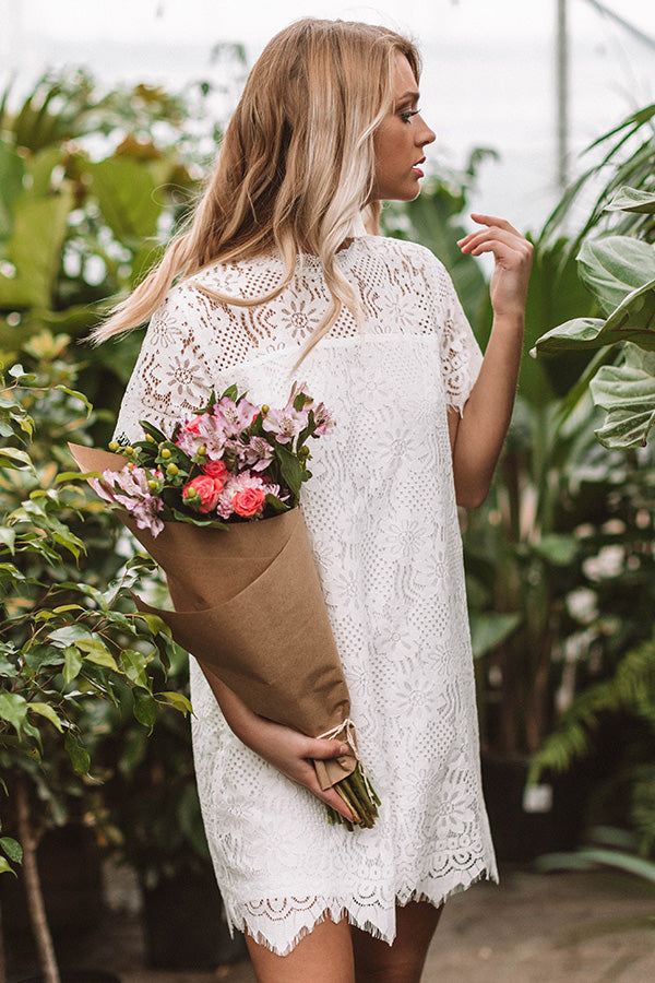 My Cup Of Tea Lace Shift Dress In White