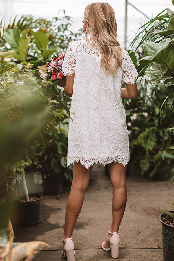 short sleeve lace shift dress Malena Lace Shift Dress