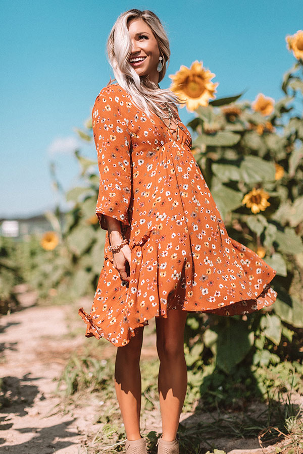 cider fall dress Cider So Sweet Shift Dress