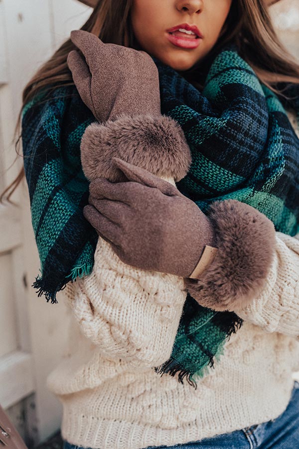 Snow What Fun Touch Gloves In Hazelnut