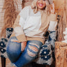 Never Too Cozy Colorblock Sweater    Curves Image - 1