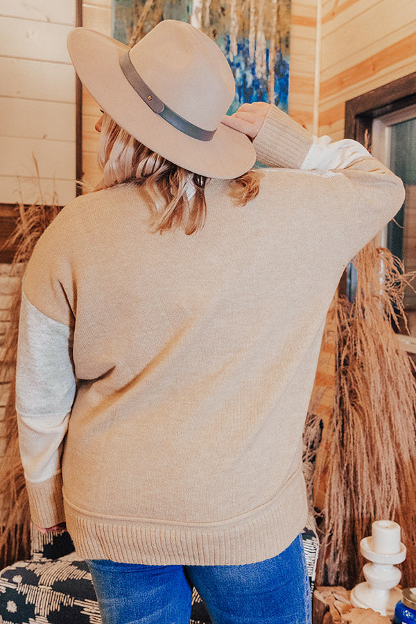 Never Too Cozy Colorblock Sweater    Curves Image - 1