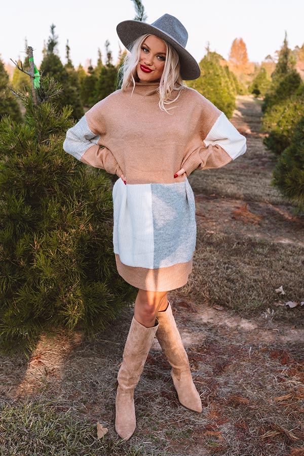 colorblock sweater dress Hello, Harvard Colorblock Sweater Dress In Iced Latte