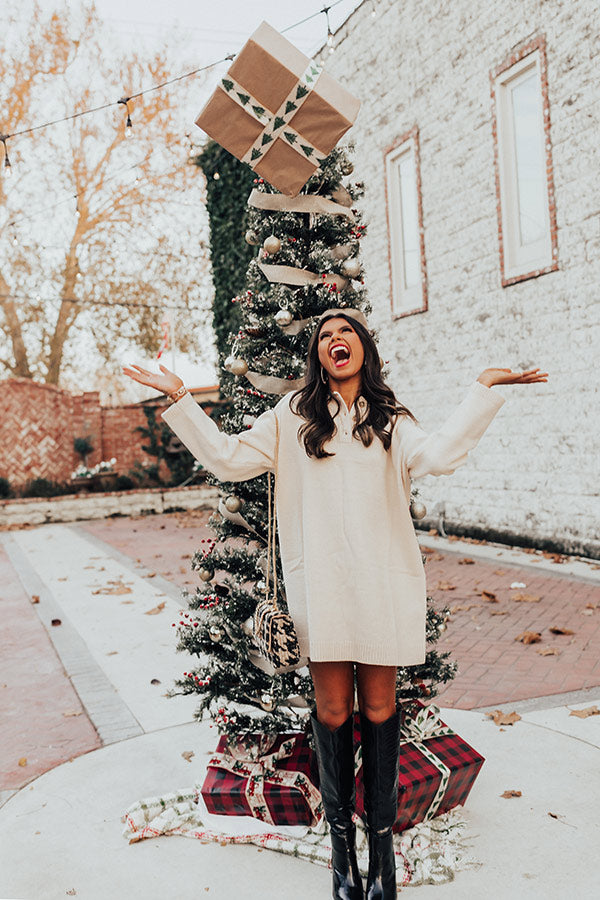 Stay For The Cuddles Sweater Dress