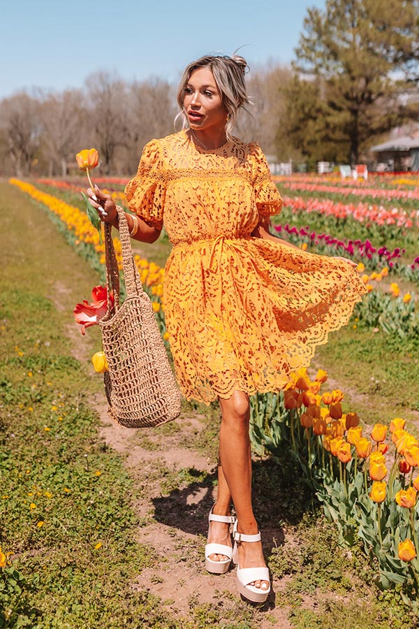 Forever Chic Crochet Mini Dress S / Orange Forever Chic Crochet Mini Dress S / Orange