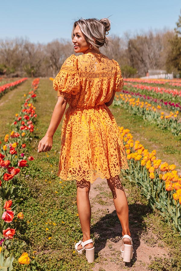 orange forever 21 dress Mesh Mini Dress Vibrant Neon Orange