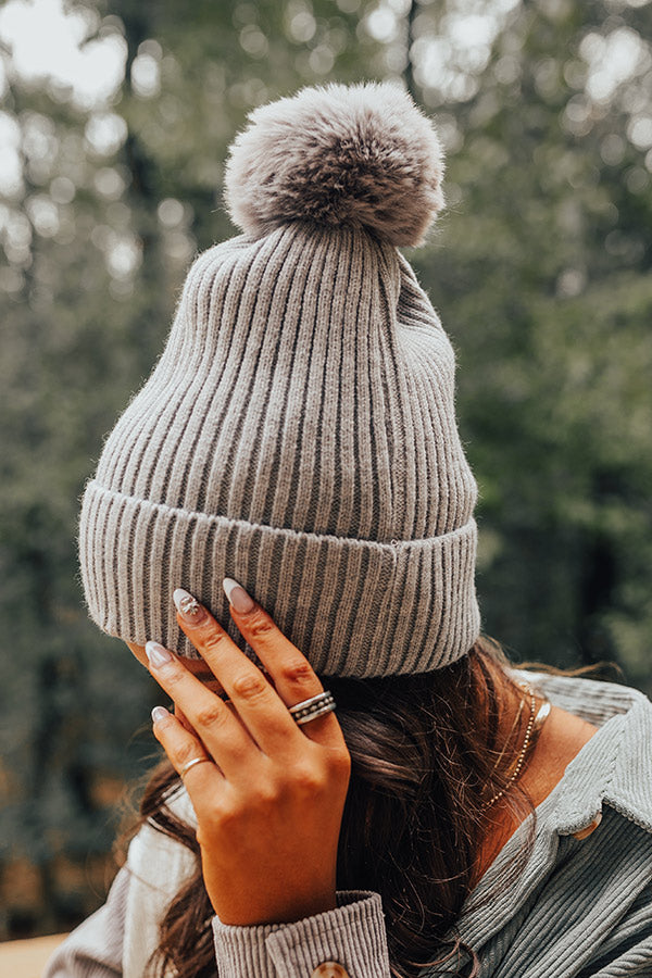 Toasty Times Fleece Lined Beanie In Grey