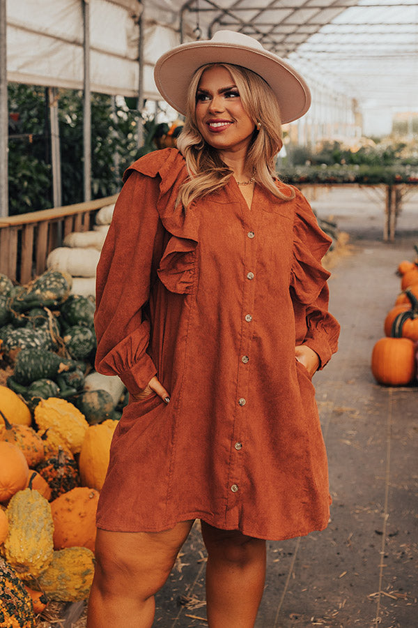 Boston Chill Corduroy Dress in Rust Curves