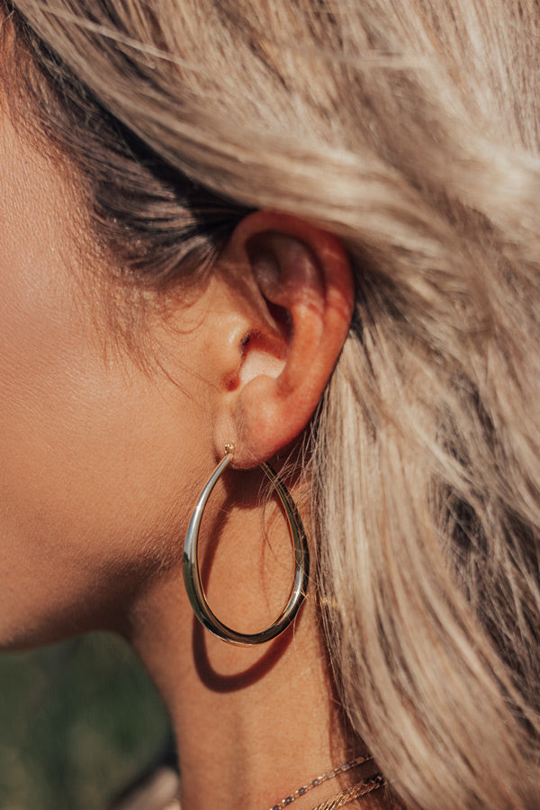 Sleek Sophistication Earrings